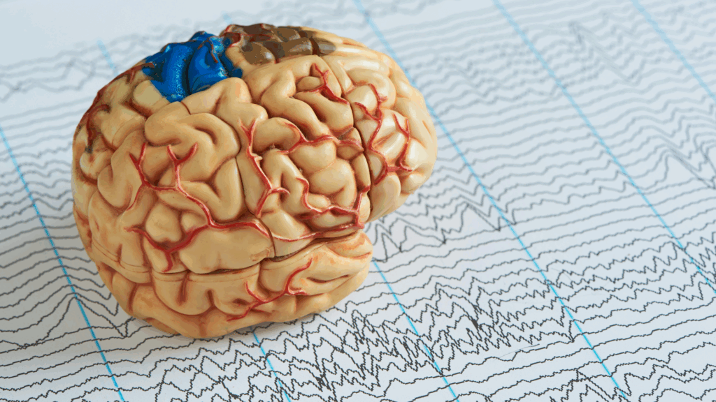 Dra Danielle Franco Machado; neurologista Dra Danielle Franco Machado; neurologista em Belo Horizonte; neurologista em BH; consulta com neurologista em BH; neurologista em Betim; consulta com neurologista em Betim; neurologista em Minas Gerais; consulta neurológica em Minas Gerais; neurologista particular em Belo Horizonte; neurologista particular em Betim; neurologista particular em MG; atendimento humanizado neurologista Belo Horizonte; atendimento humanizado neurologista Betim; neurologista clínica em BH; neurologista clínica em Betim; TDAH neurologista Belo Horizonte; TDAH neurologista Betim; tratamento para TDAH em Belo Horizonte; tratamento para TDAH em Betim; neurologista especialista em epilepsia Belo Horizonte; neurologista especialista em epilepsia Betim; tratamento para epilepsia em Belo Horizonte; tratamento para epilepsia em Betim; cefaleia neurologista Belo Horizonte; cefaleia neurologista Betim; tratamento para enxaqueca Belo Horizonte; tratamento para enxaqueca Betim; neurologista para dor de cabeça em BH; neurologista para dor de cabeça em Betim; neurologista especialista em AVC Belo Horizonte; neurologista especialista em AVC Betim; tratamento para AVC em BH; tratamento para AVC em Betim; acompanhamento neurológico Belo Horizonte; acompanhamento neurológico Betim; neurologista para distúrbios do movimento Belo Horizonte; neurologista para distúrbios do movimento Betim; neurologista especialista em Parkinson Belo Horizonte; neurologista especialista em Parkinson Betim; tratamento para doença de Parkinson em Belo Horizonte; tratamento para doença de Parkinson em Betim; tratamento para Alzheimer em Belo Horizonte; tratamento para Alzheimer em Betim; neurologista especialista em demência Belo Horizonte; neurologista especialista em demência Betim; tratamento para tremores em BH; tratamento para tremores em Betim; tratamento para insônia em BH; tratamento para insônia em Betim; consulta neurológica humanizada Belo Horizonte; consulta neurológica humanizada Betim; doenças neurológicas em Belo Horizonte; doenças neurológicas em Betim; exame neurológico completo em BH; exame neurológico completo em Betim; neurologista de confiança em Belo Horizonte; neurologista de confiança em Betim; melhor neurologista em Belo Horizonte; melhor neurologista em Betim; neurologista MG; neurologista em Minas Gerais; consulta neurológica particular em Minas Gerais; neurologista de referência em Minas Gerais.